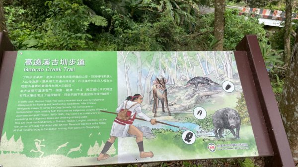 桃園-高遶溪天空吊橋-高遶溪瀑布-高遶溪古圳步道2941997