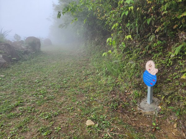 20230409那羅山、煤源山、大混山、道下山O型2141981