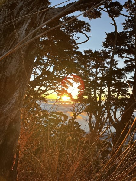 北大武稜線雲海景觀3010130