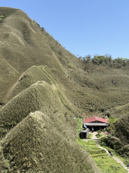 2025/03/21 聖母山莊 抹茶山 三角崙山2935114