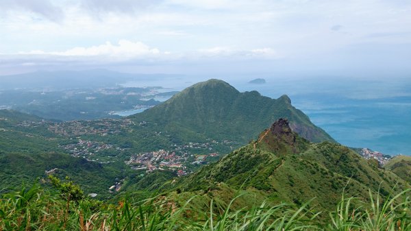 黃金三稜 無耳茶壺山 半平山 燦光寮山20210427  8K7H1365889