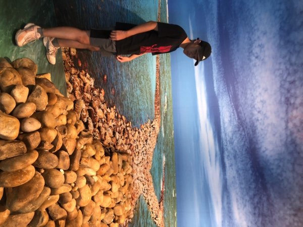 霄裡好風光活動2824039