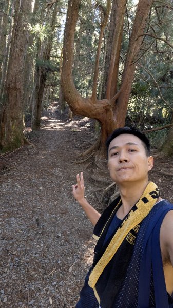 【中級山】五星級步道，谷關七雄馬崙山3012191