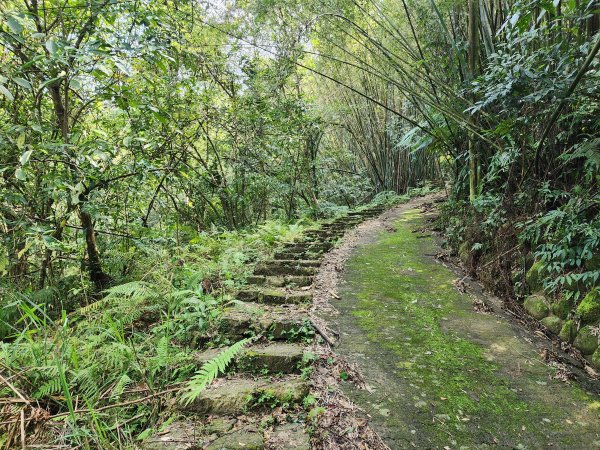 20250309高甫山彩和山大庭頂山金山O型封面