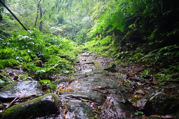 淡蘭古道中路O型988529