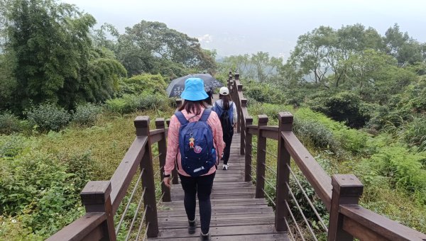 (姨婆趴趴走)第三十集:嘉義梅山太平雲梯、太平老街、太興岩茶園步道、龍王金殿2335387