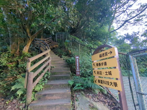 2025.06.15－烘爐地2813402