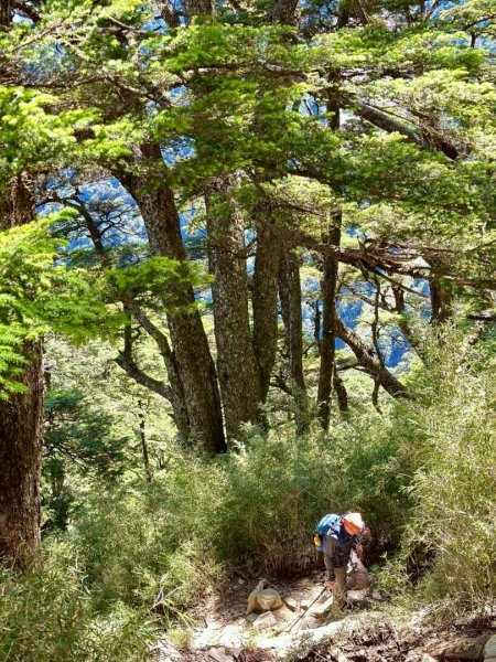 20250620南橫三山塔關山2816702