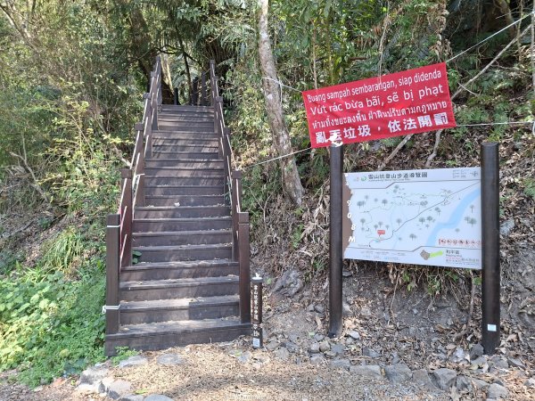 《台中》巨人之手｜雪山坑環線步道202603223021454