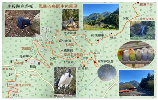 鳳凰谷鳥園步道2695868