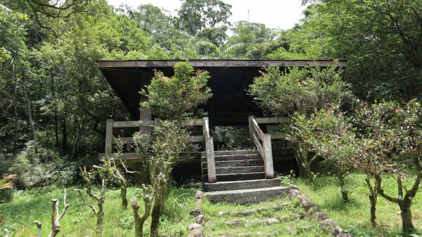 福山植物園登山健行趣(步道)2269418