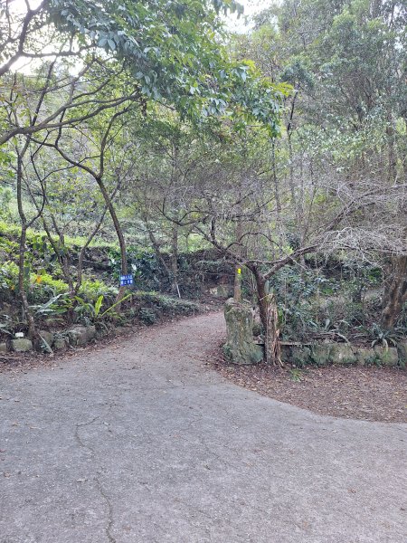 谷關蝴蝶谷瀑布202511202940777