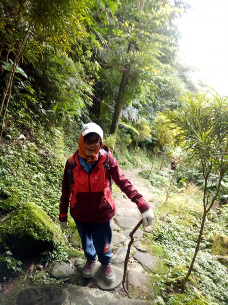 三峽鳶山+鳶山彩壁+五十分山(茅埔路起登)1876726