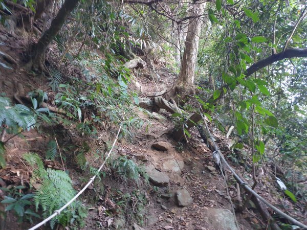 冬瓜山步道與洗水山1560934