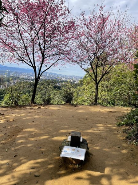 大湖翠湖金龍湖2711894