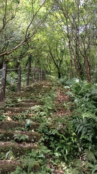 雙溪區雙溪八景之蝠山遠眺、苕谷觀瀑二景3108235