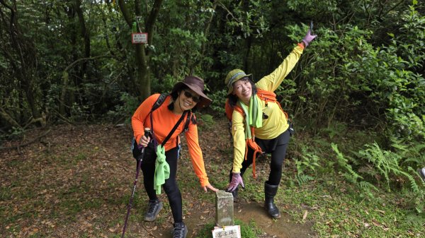 陽明山秘境，涼爽水圳步道，鹿堀坪古道，富士坪古道，夏日戲水與溯溪天堂，首選鹿堀坪（頭前溪）瀑布。2796249