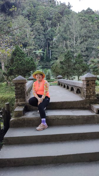 溪頭自然教育園區2938878