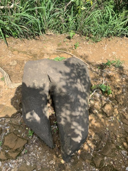 20240608高雄北旗尾南山-北旗尾山-旗尾山2523579