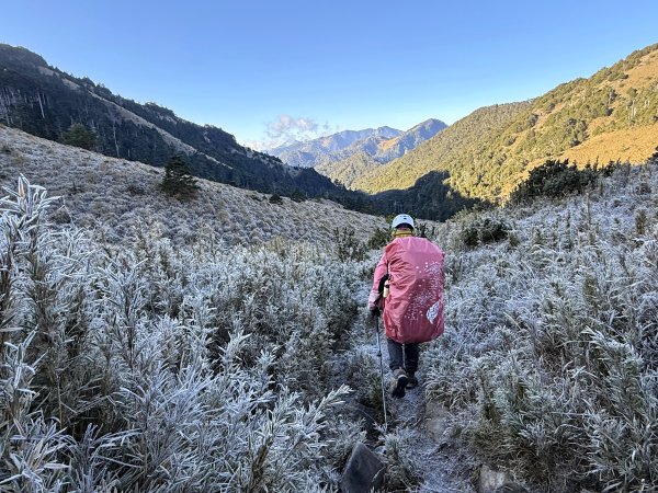 大眾運輸登 雪山西稜 (中雪山未竟) 2025/12/3~92970031