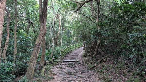 飛鳳山步道3118559