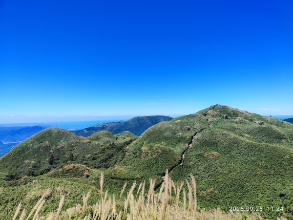 七星山二進2894968