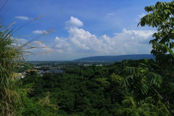 雲林．林內龍過脈森林步道2023/07/222237638