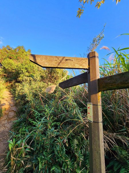 小百岳集起來-五分山2181042