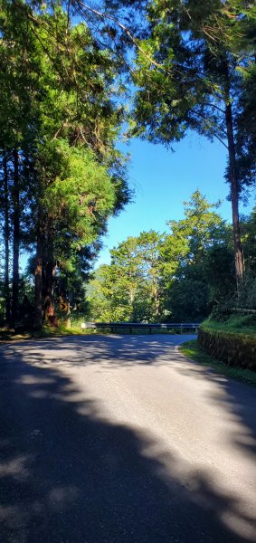 2023-07-08三星山登山步道2212419