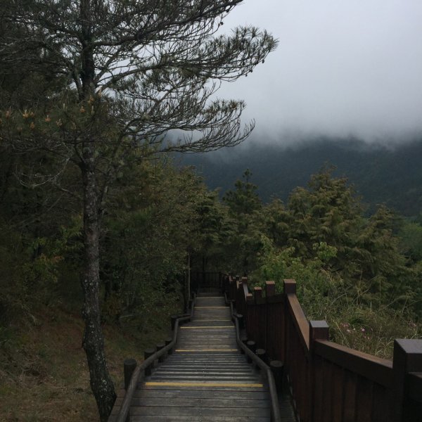 雲霧步道938100