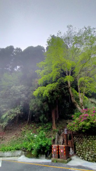 杉林溪一日遊1661536