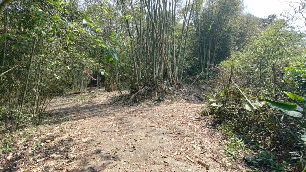 西阿里關山3033618