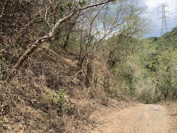 20250503屏東南和山2781480