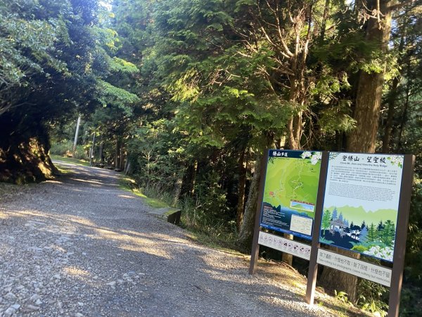 觀霧森林遊樂區（榛山及檜山巨木步道）3060129