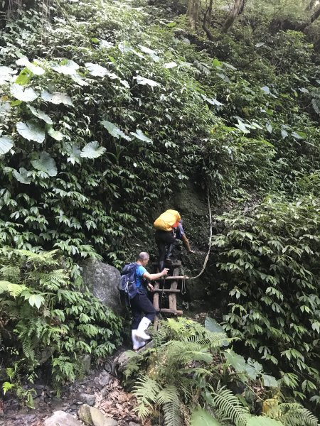 哈盆古道-波露南山-波露山O型走1475869