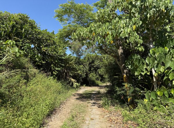 2025_1018 花蓮山步道2921268