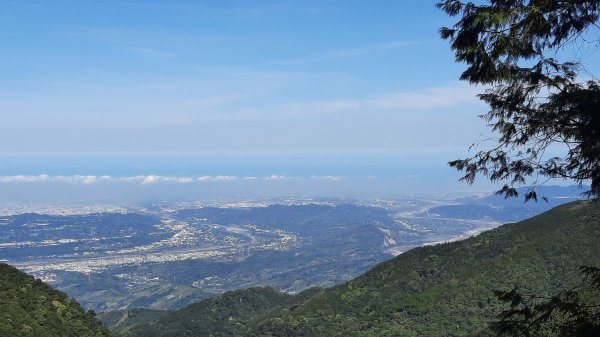 《台中》魔幻森林｜橫嶺山沙蓮山O型202104301367049