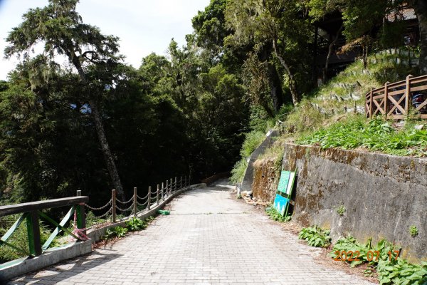 花蓮 秀林 焦土山1768742