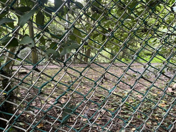 [跟著2025雙北世壯運探索雙北市-6/21] 2025_0614 文化排擊徑（文化大學－天母古道）2814415