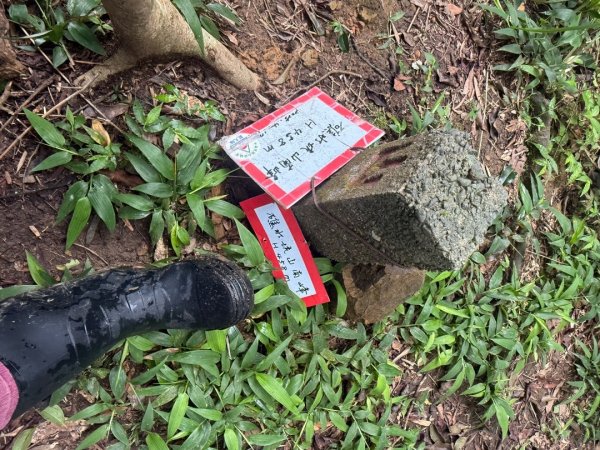 頭城火車站-頭圍山-礁水坑山南峰-礁水坑山-鶯子嶺2867049