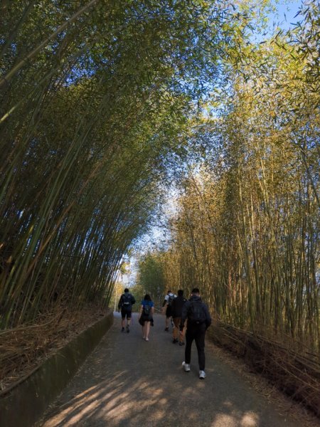 ∆小百岳∆ 雲嘉大尖山2750753