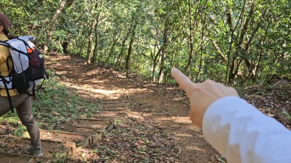 20251215林口森林步道+太平嶺海濱步道2969380