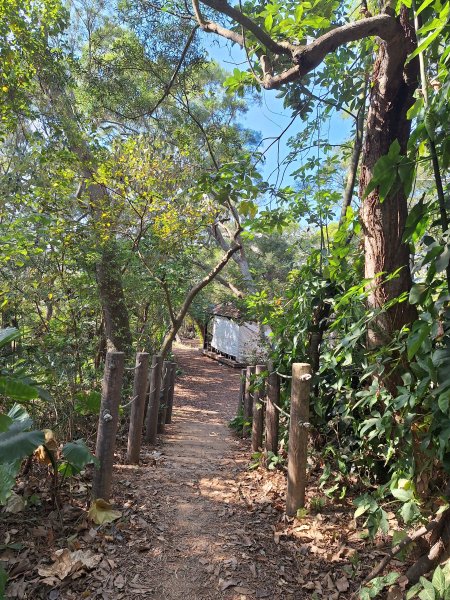 大肚環保公園步道+大尖山+萬里長城步道萬里長城步道202512072956501