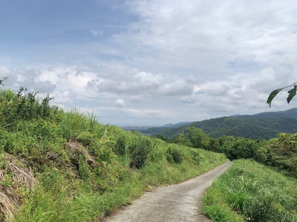 ~  中 山 茶 園 步 道  ~2580971