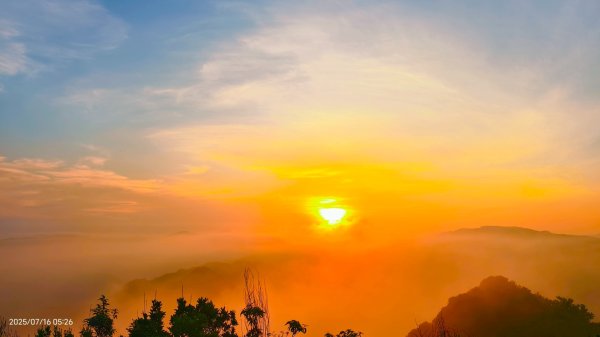 雲山水花鳥蝶-天龍國阿伯的日常 7/162838406