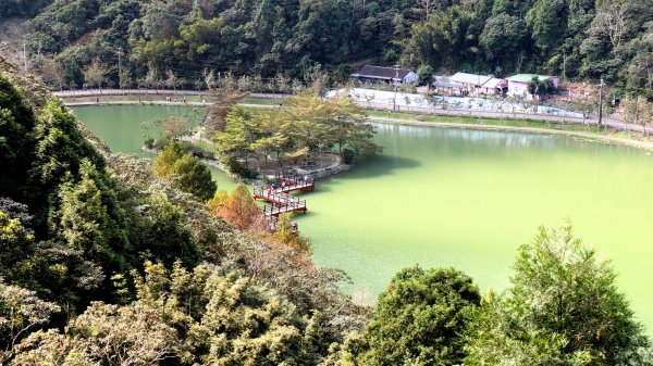 望龍埤,鎮頭山,蜊埤湖2391883