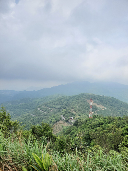 雲海山，風露嘴山，粗坑崙山群峰，大格門山，獵狸尖