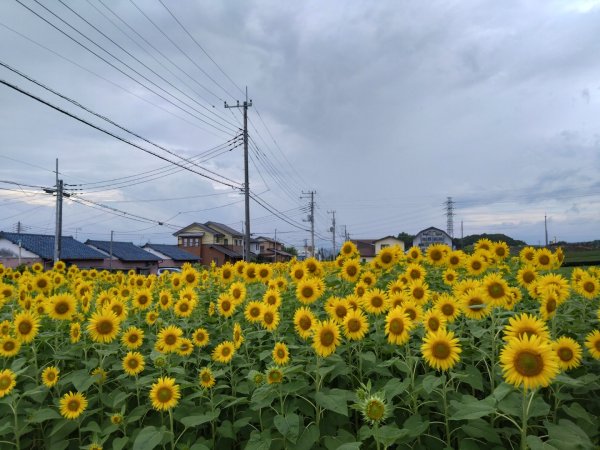 富士山御殿場線~海拔0至37762559121