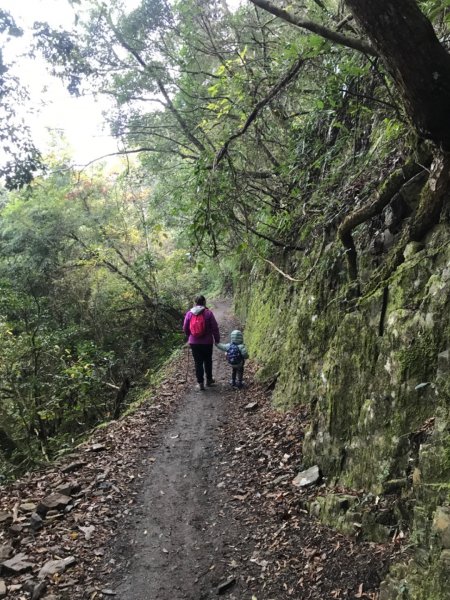 霞喀羅古道(養老-白石駐在所)。美麗10K絕無冷場1583356