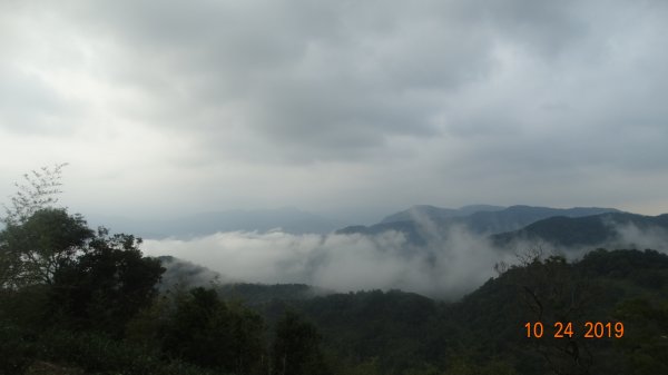 朝陽步道&粉鳥林&石碇雲海712078